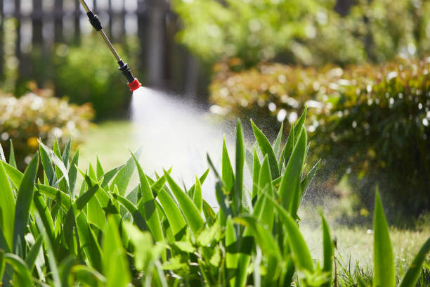 24/7 Emergency Mosquito Control experts in Angola, IN