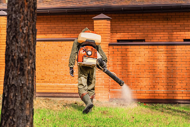 Top rated local Mosquito Control specialists in Angola, IN